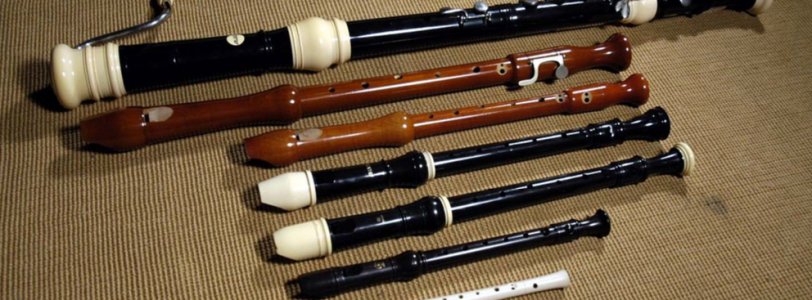Recorder: instrument of music or instrument of torture?