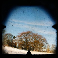 Through The Viewfinder Photography