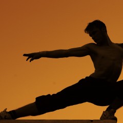 Can martial arts be considerd an art form?