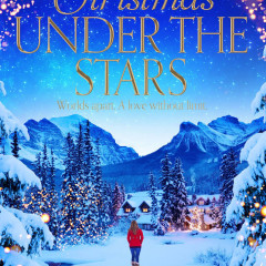 ‘Christmas Under the Stars’- Not unputdownable, but easy to pick up again.