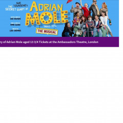 Adrian Mole the Musical review