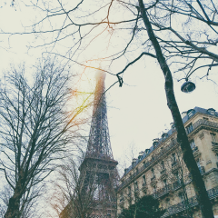 Paris, city of art