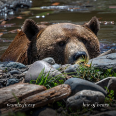 Wonderfuzzy's Enchanting Journey with "Lair of Bears" EP