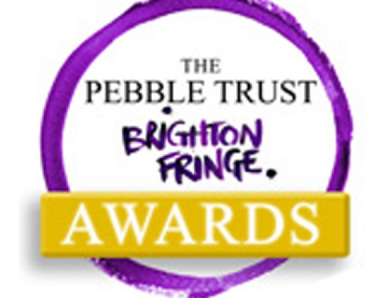 Pebble Trust Brighton Fringe Awards