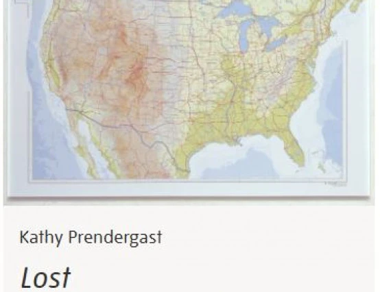 Kathy Predergast  Artist Review