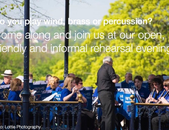 Do you play a woodwind, brass or percussion instrument and live in Essex? 