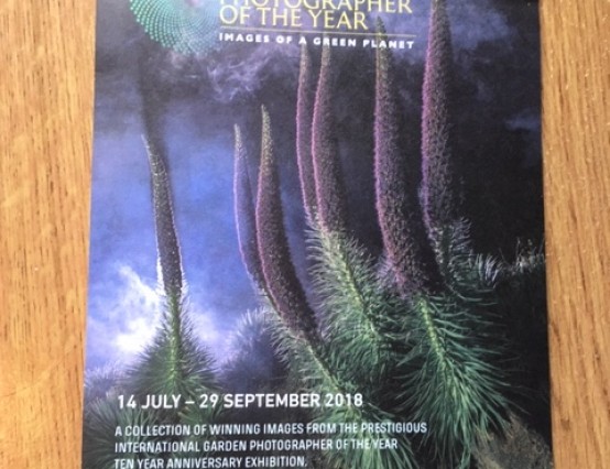 International Garden Photographer of the Year Review