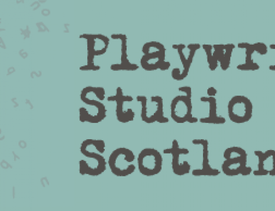 Playwright Mentoring Programme