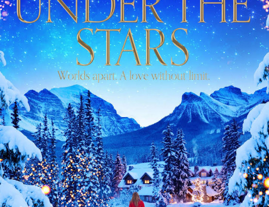 ‘Christmas Under the Stars’- Not unputdownable, but easy to pick up again.