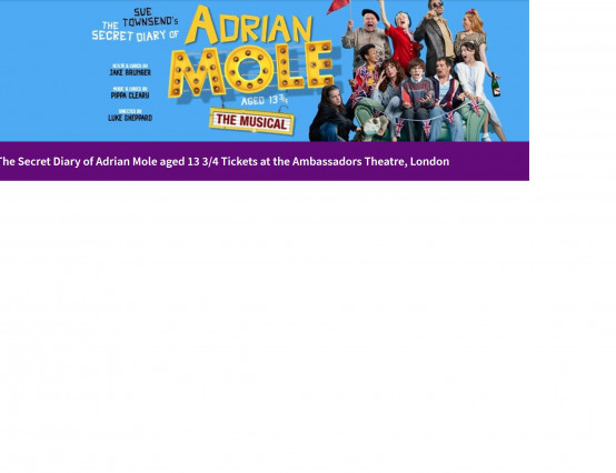 Adrian Mole the Musical review