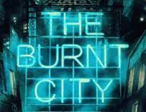 Review: The Burnt City