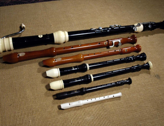 Recorder: instrument of music or instrument of torture?