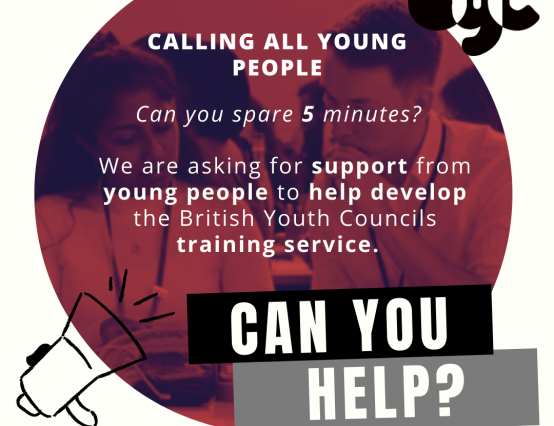 Training for Young people, Guided by Young People.