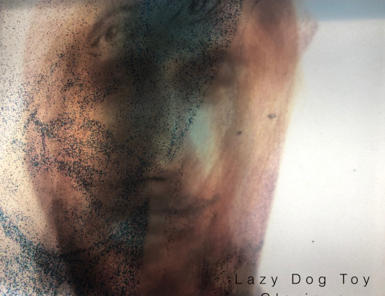 Silent Running's Alex White goes Americana on New Lazy Dog Toy Single