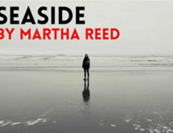 Seaside: A Review
