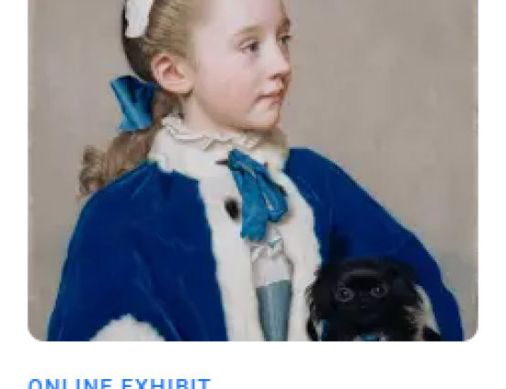 Google arts and culture online exhibition review.