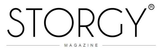 Image result for storgy magazine logo