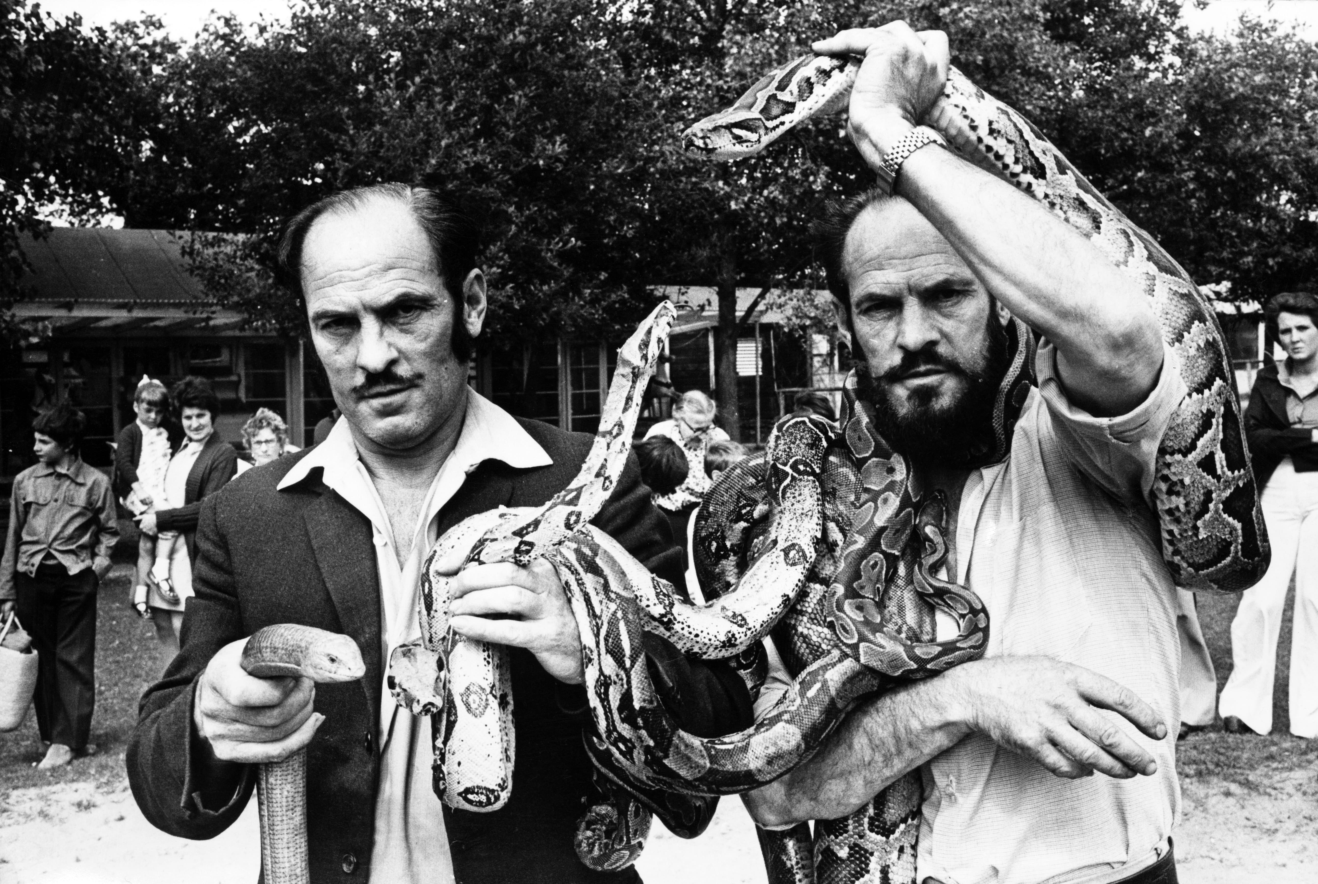 Identical twin brothers George (right) and Hugh Palmer who ran Barry Zoo, officially called Cardiff Zoo (Barry), but known locally as Barry Zoo. Pictured with some of the zoo snakes. 24th July 1975.