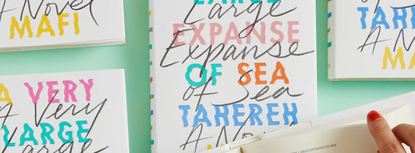 A Very Large Expanse Of Sea by Tahereh Mafi
