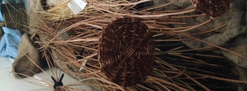 Willow Basketry Adult Workshop