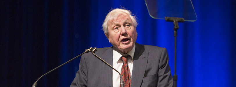 Sir David Attenborough continues to push for action on climate change from world leaders