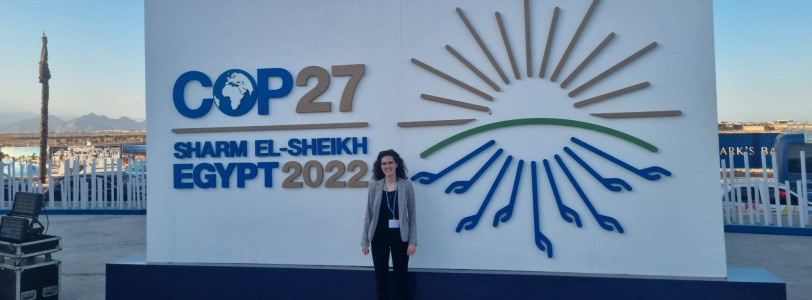 Reflecting on COP27 with UK Youth Co-chair Anna Gardner