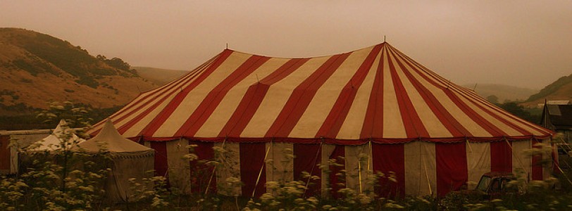 Children in circus and education – ready for the world?