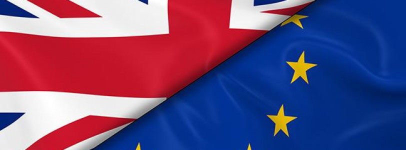 Views on Brexit, PM departure and the EU