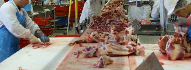 Day release prisoners needed to cover meat industry job shortages