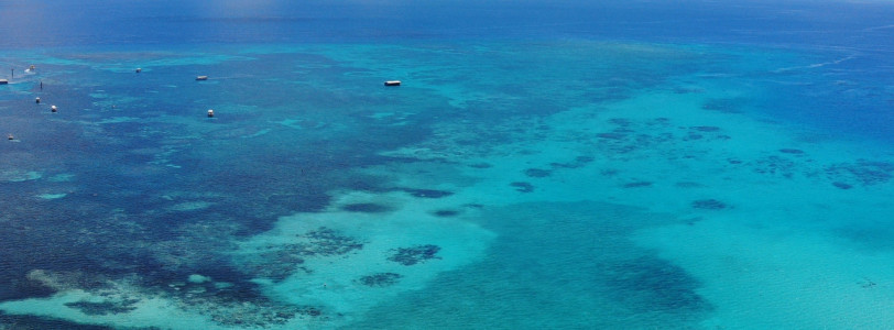 World Heritage Committee decides against placing Great Barrier Reef on danger list