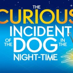 Review of the play The Curious Incident of the Dog in the Night-Time