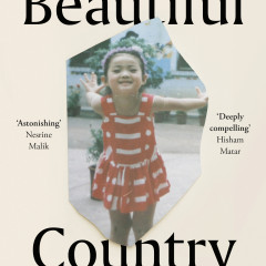 Review: Beautiful Country by Julie Qian Wang