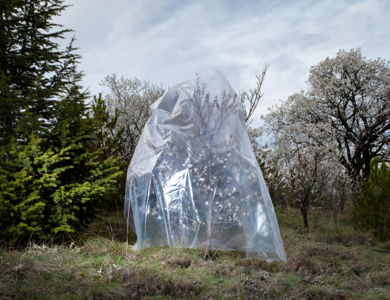 Land artist Elham Angell explores the intersection between art and nature