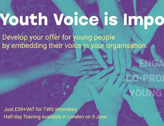 Youth Voice Training - London 5 June