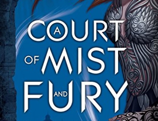 Are YA Fantasies All They're Hyped Up To Be: A Court of Mist and Fury