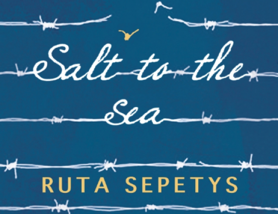 Salt to the Sea review for CILIP Carnegie Medal shadowing