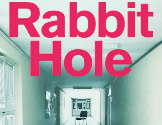 Rabbit Hole book review: Don’t judge a book by its cover?