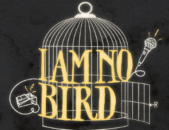 I Am No Bird: A modern Bronte story.