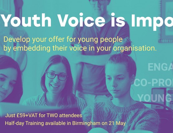 Youth Voice Training - Birmingham 21 May