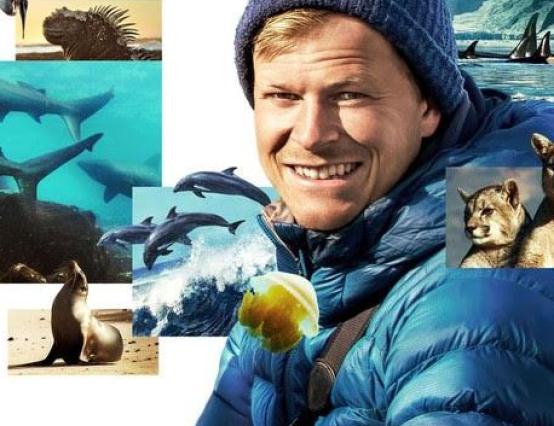 Sharks Up Close: An interview with Bertie Gregory