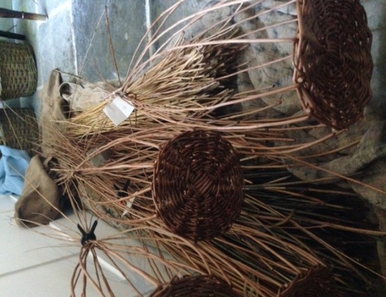 Willow Basketry Adult Workshop