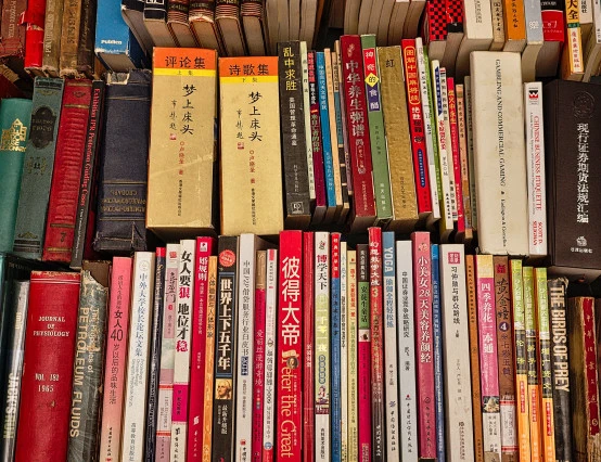 A focus on Asian literature
