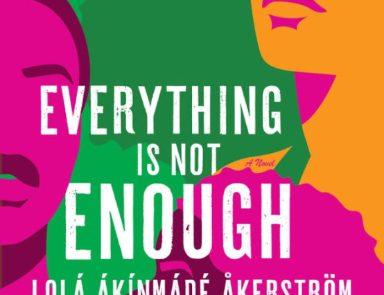 Everything Is Not Enough by Lola Akinmade Akerstrom