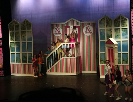 I went to see Legally Blonde The Musical in theatre!