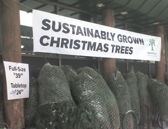 10 tips for a sustainable Christmas this year
