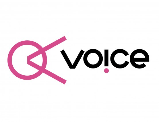 Voice Assistant Editor (maternity cover)