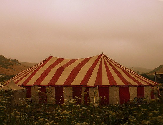 Children in circus and education – ready for the world?