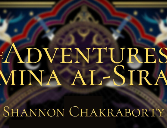 The Adventures of Amina al-Sirafi by S. A. Chakraborty