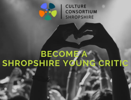 Become a Shropshire Young Critic