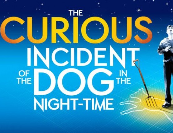 Review of the play The Curious Incident of the Dog in the Night-Time